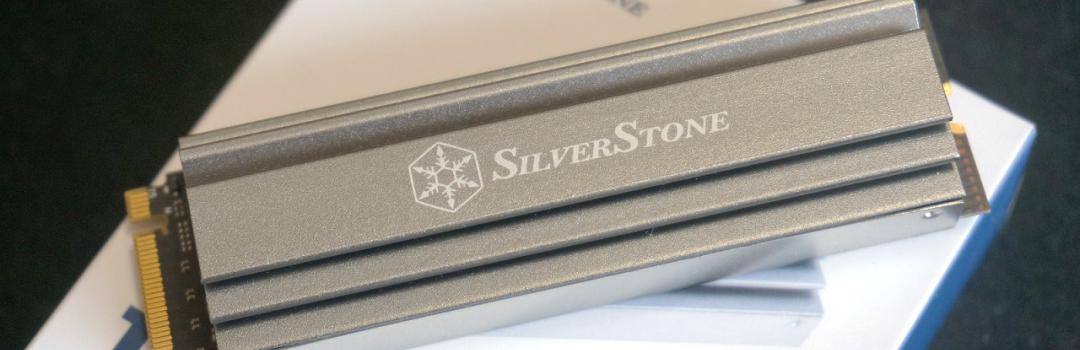 SilverStone TP04 Review